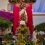 Una treintena de cruces de mayo llenarán de color y flores la ciudad de Jaén