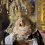 Repuesta al culto la Virgen de los Dolores de la Vera Cruz
